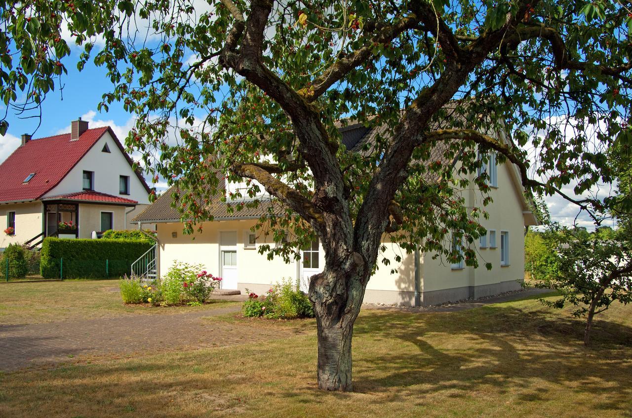 Sonnenhus - Ruegen Apartment Sellin  Bagian luar foto